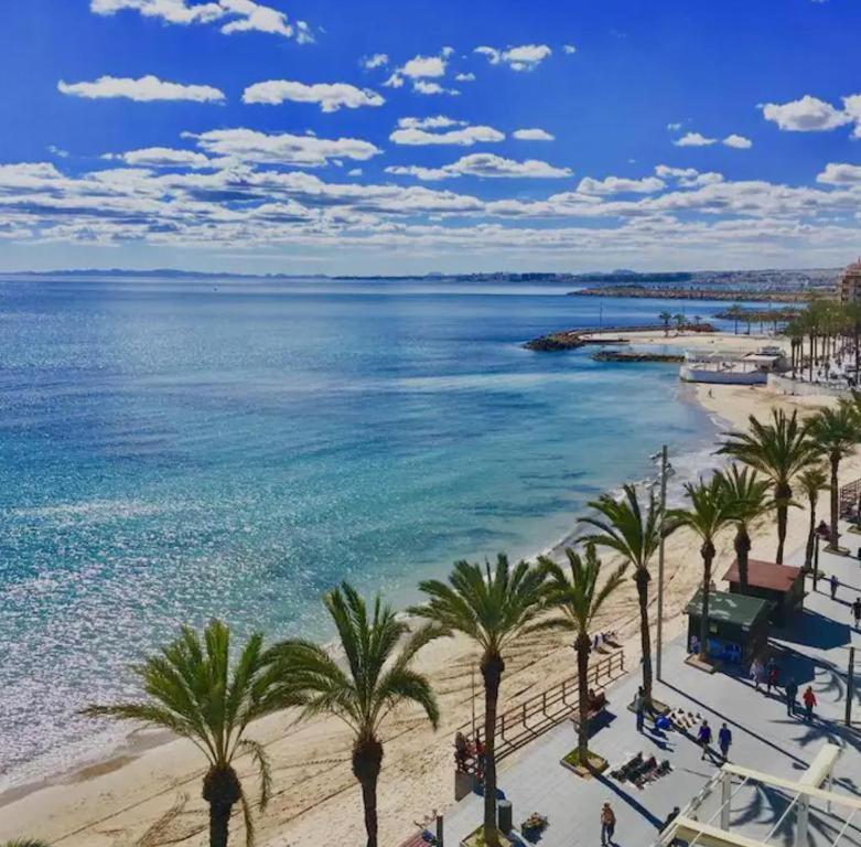 Nations Park Med Syndicate 6 Lejlighed Torrevieja Eksteriør billede